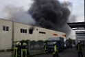 Grossbrand Halle Troisdorf Kriegsdorf Junkersring P088